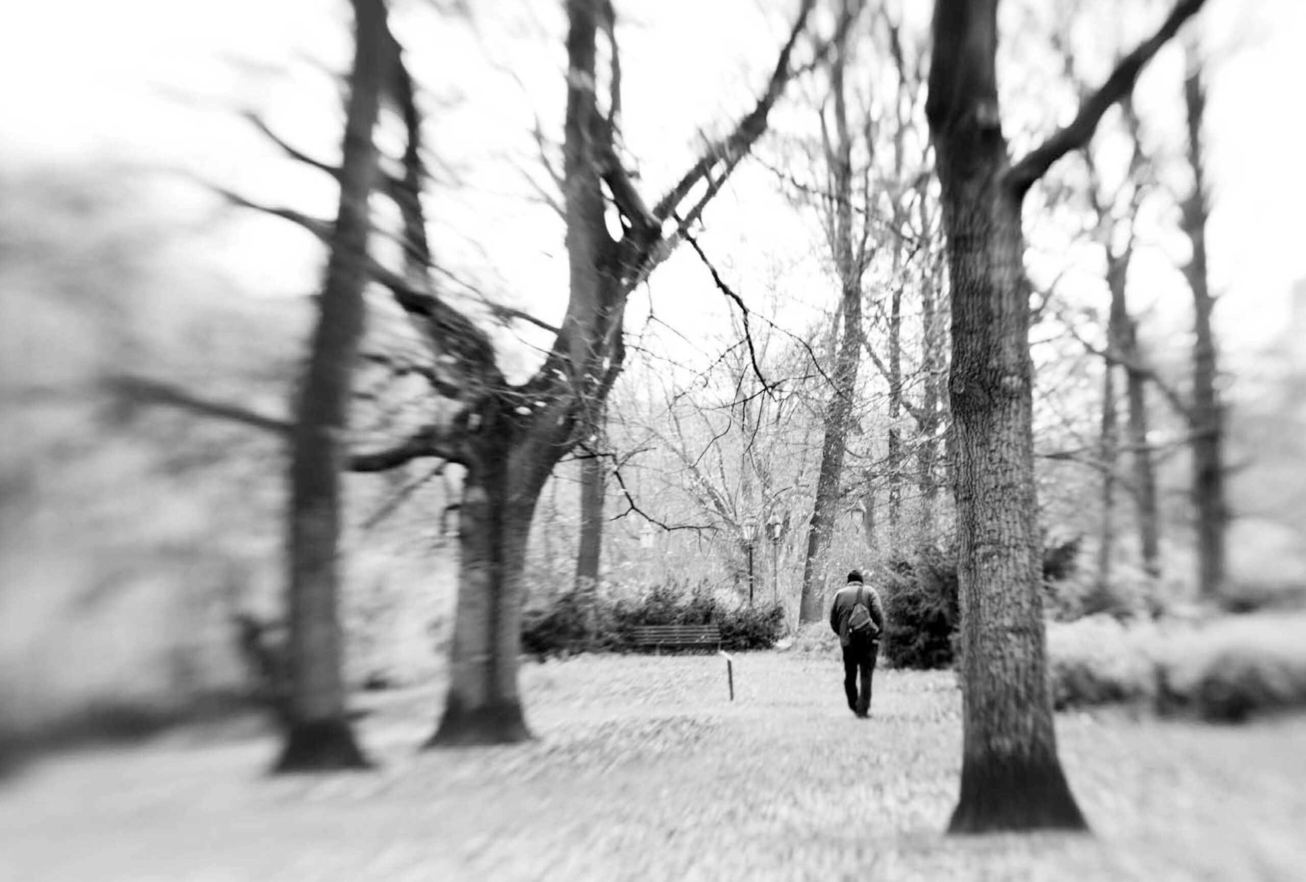 Präse_BA_final_final-28